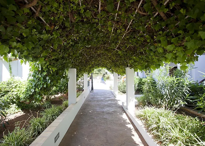 Cristina Кала Миллор